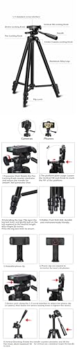Sensyne 14" Ring Light with Tripod Stand, LED Circle Light with Phone Holder, for Photo Selfie, Video Recording, Zoom Meeting - size: 14-inch