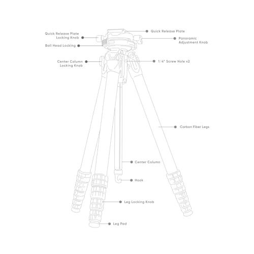 Heavy Duty Lightweight Tripods by foldio foldable studio, Portable Cell Phone & Camera Tripods with Phone Holder, for iPhone, Android, Tripod for Photo Video Shooting (Travel Tripod - Carbon) - style: Travel Tripod - TT Carbon