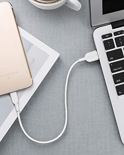 Anker Powerline II Lightning Cable, MFi-Certified (1 ft, White) - color: White, size: 1ft