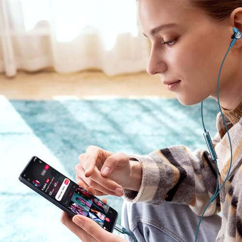 Jelanry Magnetic USB-C Wired Earbuds HiFi Stereo Headphones with Mic, Blue - color: Blue
