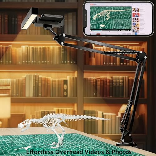 Desk Selfie Light with Overhead Phone Mount, Adjustable Arm
