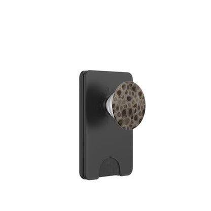 Petoskey Stone- Michigan PopSockets PopWallet for MagSafe - style: Magnetic PopWallet