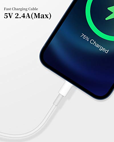 Apple iPhone Charger Cable, 2 Pack Original Lightning to USB Cables Apple MFI Certified 6 Ft, Fast iPhone Charging Cord for iPhone 11/11Pro/11Max/ X/XS/XR/XS Max/8/7/6/5S/SE - size: 6Ft 2Pack