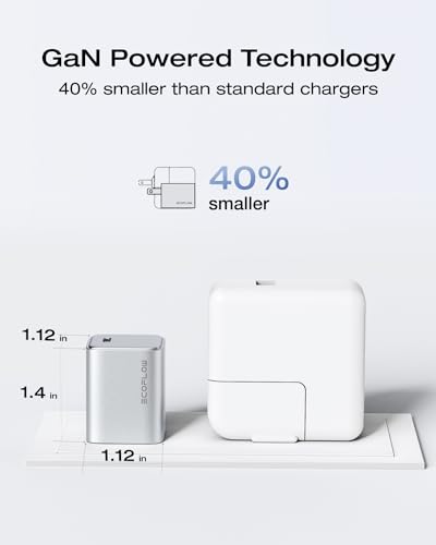 EF ECOFLOW USB C Charger, Rapid 30W GaN Type C Charging Block with Foldable Plug, Fast Wall Charger Compatible with iPhone 15/14/13, Galaxy, Pixel 4, iPad, AirPods, Apple Watch (USBC Cable Included) - size: 30W