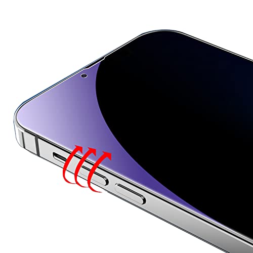 2 Pack Anti-Blue Privacy Tempered Glass for iPhone 17 Pro Anti-Spy Screen Protector Anti-Peeping Film 6.3 inch - size: For iPhone 17 Pro