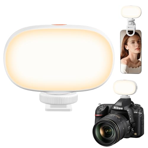 Mini Phone Light Clip, Type-C Charging, Rechargeable Selfie Light & Adjustable Brightness for iPhone, Smartphones, Camera, Laptops, Perfect for Make up, TikTok, Live Streaming, White