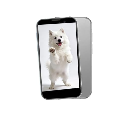 A15 Mini Phone, Unlocked Mini Smartphone with 3.0" HD Touch Screen,Tiny Android Small Cell Phone,2GB+16GB+Expandable TF Card,Quad Core Tiny Phone,Face Unlock/GPS.（Gray） - color: Gray