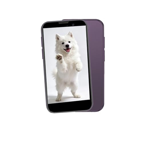 A15 Mini Phone, Unlocked Mini Smartphone with 3.0" HD Touch Screen,Tiny Android Small Cell Phone,2GB+16GB+Expandable TF Card,Quad Core Tiny Phone,Face Unlock/GPS.（Purple） - color: Purple