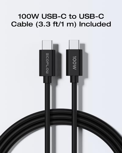 EF ECOFLOW USB C Charger, Rapid 65W GaN Type C Charging Block with Foldable Plug, Fast Wall Charger Compatible with iPhone 15/14/13, Galaxy, Pixel 4, iPad, AirPods, Apple Watch (USBC Cable Included) - size: 65W