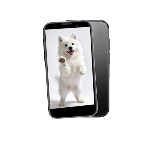 A15 Mini Phone, Unlocked Mini Smartphone with 3.0" HD Touch Screen,Tiny Android Small Cell Phone,2GB+16GB+Expandable TF Card,Quad Core Tiny Phone,Face Unlock/GPS. (Black) - color: Black