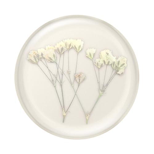 PopSockets Adhesive Phone Grip, Holder- Baby's Breath - color: Baby's Breath