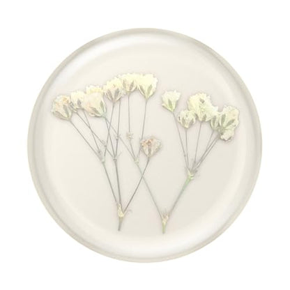 PopSockets Adhesive Phone Grip, Holder- Baby's Breath - color: Baby's Breath