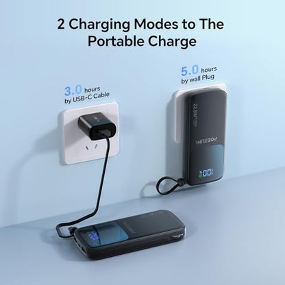 10000mAh Portable Charger Power Bank with Two Cables and Wall Plug