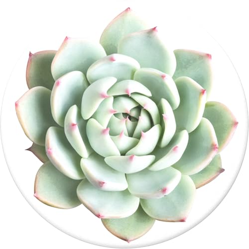 PopSockets Phone Grip with Expanding Kickstand, Plant Pattern PopGrip - You Succulent - color: You Succulent