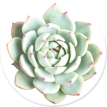 PopSockets Phone Grip with Expanding Kickstand, Plant Pattern PopGrip - You Succulent - color: You Succulent