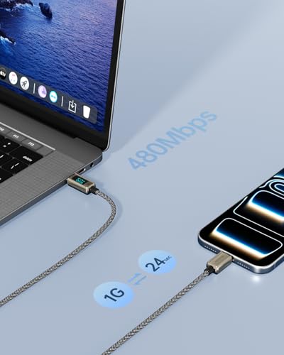 Hichain 2PACK 4FT 60W USB C to USB C Cable with LED Display Silver - color: Silver 2p, size: 4FT