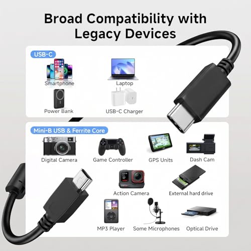 BERLAT Mini USB to USB C Cable 5FT 2-Pack Ferrite for Camera