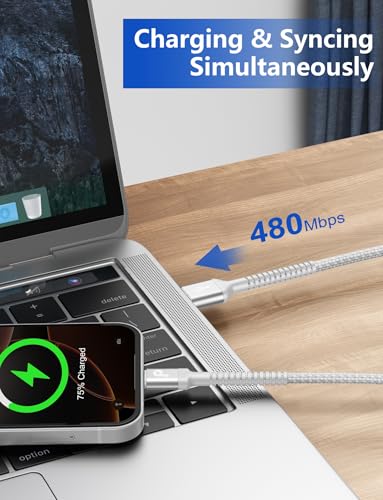 iPhone Charger Cable 3FT 2Pack USB to Lightning Cable Extra Durable Braided - color: Silver, size: 3FT, style: USB A to Lightning
