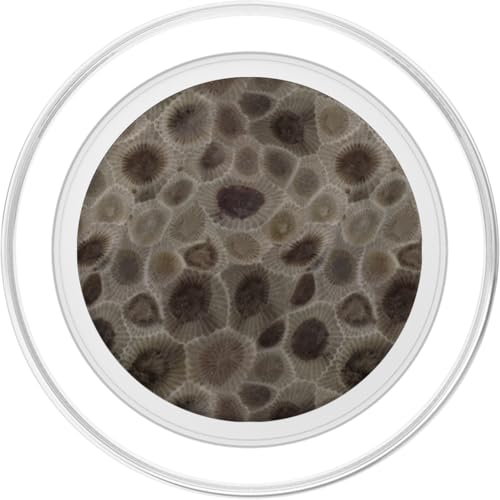 Petoskey Stone- Michigan PopSockets PopGrip for MagSafe - style: Magnetic PopGrip