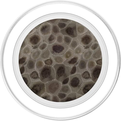 Petoskey Stone- Michigan PopSockets PopGrip for MagSafe - style: Magnetic PopGrip