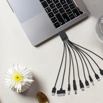 QfwdfcTrenz 10 in 1 USB Cables, Universal USB to Multi Plug Cell Phone Charger, Universal Multiple Charging Cord Charging Cable with 10 Ports for Cell Phones Speaker MP3 MP4