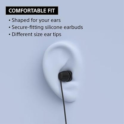 Sony IER-EX15C USB-C Plug, Wired in-Ear Headphones with Mic, Black - color: Black (Pack of 1), style: USB-C, Mic