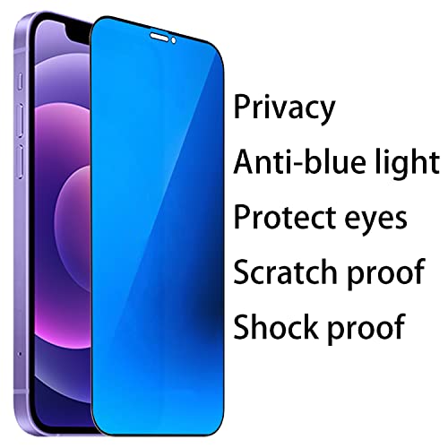 2 Pack Anti-Blue Privacy Tempered Glass Suit for iPhone 12 / iPhone 12 Pro Mirror Anti-Spy Screen Protector Anti-Peeping Film Electroplated 9H Hardness Anti-scratch 6.1 inch (Blue) - size: For iPhone 12 /iPhone 12 Pro