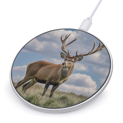 Elk Wireless Charger, Fast Charging Pad