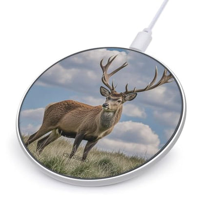 Elk Wireless Charger, Fast Charging Pad