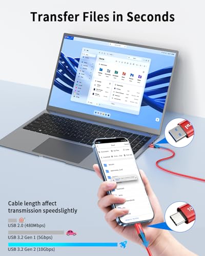 LDLrui USB C Data Cable 10Gbps, 10ft, 2-Pack, Red, Braided - size: 10ft