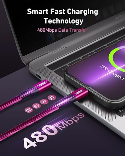 USB C Cable [2Pack 10FT], USB C to USB C Cable for Car Durable Braided - color: Rose Red, size: 10FT, style: USB C to USB C