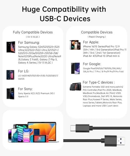 LDLrui USB C to USB A 3.1 Gen 2 Data Cable, 10ft, 1-Pack, Black - color: Black, size: 10FT