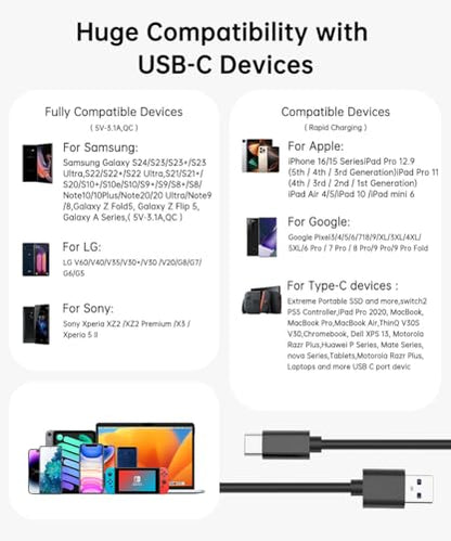LDLrui USB C to USB A 3.1 Gen 2 Data Cable, 0.5ft, 1-Pack, Black - color: Black, size: 0.5FT