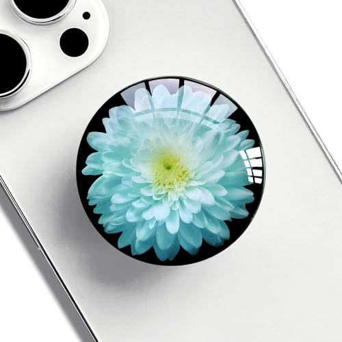 Translucent Clear Phone Grip with Expanding Kickstand,Cell Phone Collapsible Stand Blue Daisy Flower Design for Smartphones