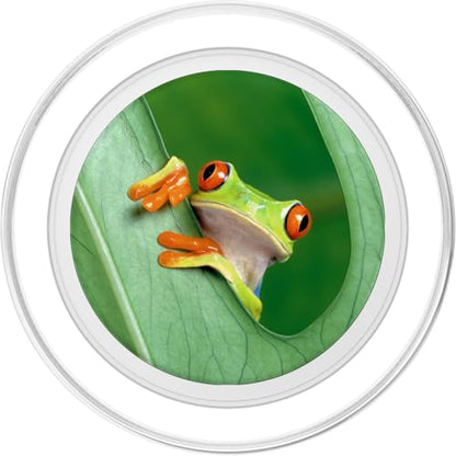Baby Frog Green Exotic Tropical Toad Anuran Idea Gift PopSockets PopGrip for MagSafe - style: Magnetic PopGrip