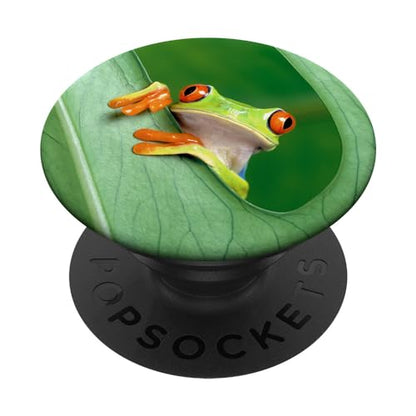 Baby Frog Green Exotic Tropical Toad Anuran Idea Gift PopSockets Adhesive PopGrip - style: Adhesive PopGrip