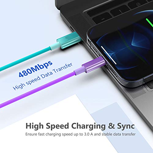 USB C to Lightning Cable, 3.3ft MFi-Certified, Fast Charging, for iPhone 14 Plus 14 14 Pro Max 13 13 Pro iPhone 12, (Multicolor, Colorful)