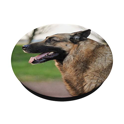 German Shepherd Dog PopSockets PopGrip: Swappable Grip for Phones & Tablets