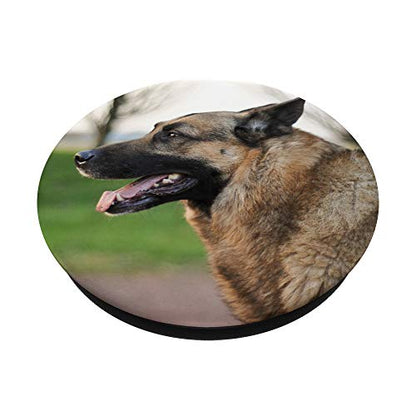German Shepherd Dog PopSockets PopGrip: Swappable Grip for Phones & Tablets