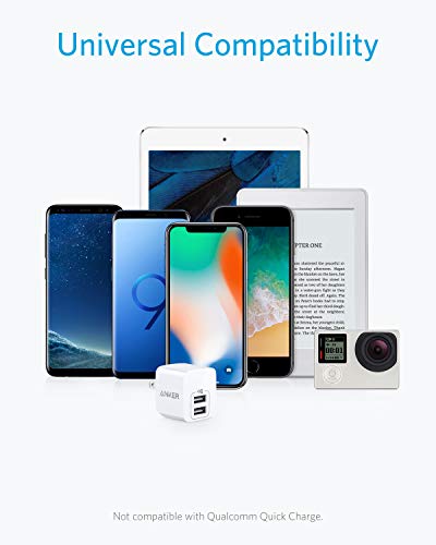 Anker 2-Pack USB Charger, Dual Port 12W Wall Charger with Foldable Plug, Compatible with iPhone XS/X/8/8 Plus/7/6S/6S Plus, iPad, Samsung Galaxy Note 5/Note 4, HTC, Moto, and More Devices