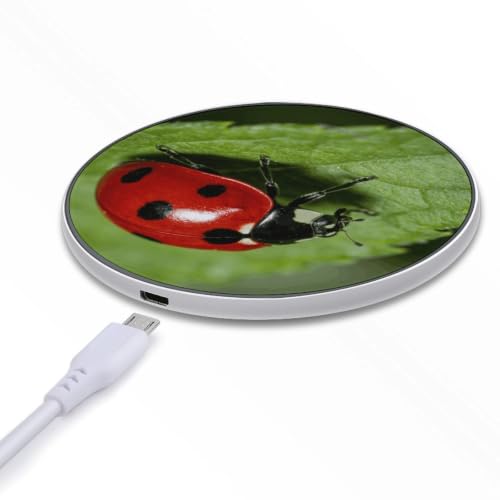 Zhu Ban Ke Wireless Charger, Fast Charging Pad