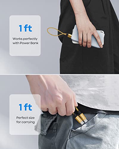 etguuds USB C to USB C Cable 1ft, 2-Pack 60W C to C Cable Fast Charging - color: Gold, size: 1ft