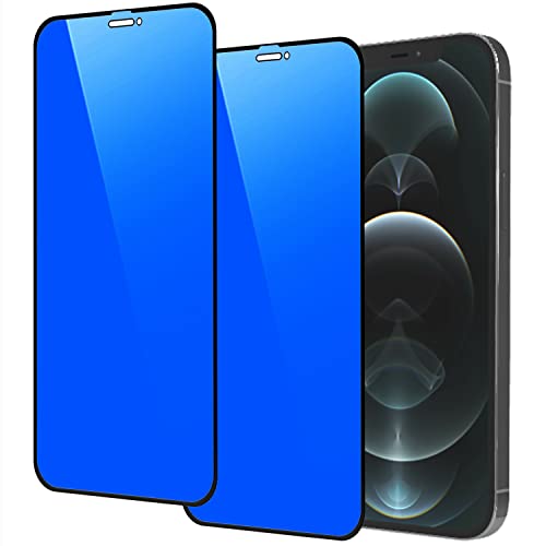 2 Piece Privacy Tempered Glass for iPhone 12 / iPhone 12 Pro 6.1 inch Anti-blue Anti-Spy Screen Protector Mirror Blue - size: for iPhone 12 / iPhone 12 Pro