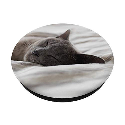 Sleeping Gray Kitty Cat Animal Grey PopSockets PopGrip: Swappable Grip for Phones & Tablets