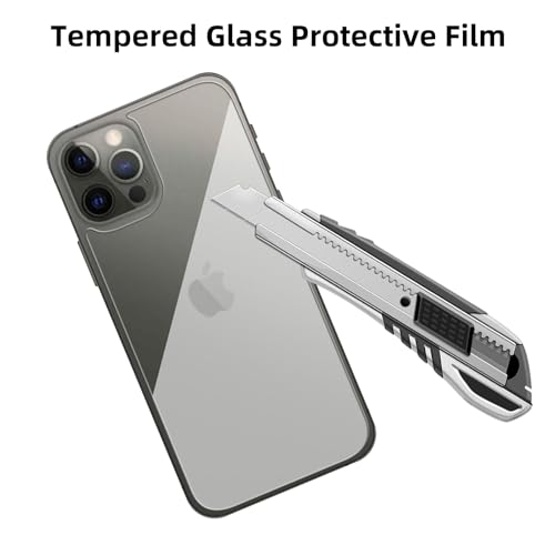 3 Pack Glass Back Screen Protector for iPhone 12/12 Pro 2020 6.1" - size: iPhone 12/12 Pro 2020