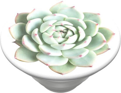 PopSockets Phone Grip with Expanding Kickstand, Plant Pattern PopGrip - You Succulent - color: You Succulent
