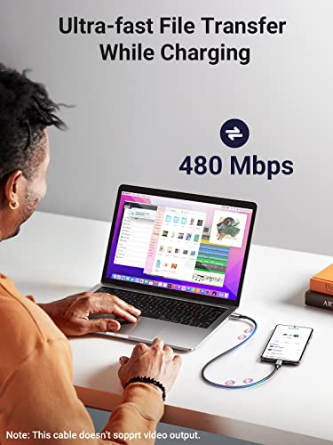 UGREEN 100W USB C to USB C Cable, Fast Charging Cable, 2-Pack, 10ft, Black - size: 10FT
