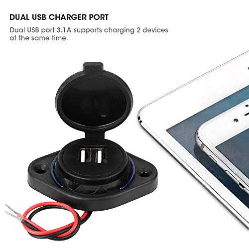 RiToEasysports Car USB Charger, ABS Dual USB Power Socket Adapter 5V 3.1A with LED Indicator, Flush Mount Charging Port for 12V 24V Car Boat ATV UTV RV Motorcycle