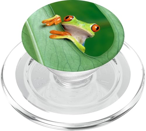 Baby Frog Green Exotic Tropical Toad Anuran Idea Gift PopSockets PopGrip for MagSafe - style: Magnetic PopGrip