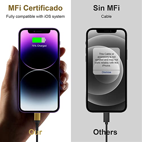 [ Apple Certified 2pack ] iPhone Charger,Lightning Cable, Fast Charging Cables for Apple iPhone 12/11/11Pro/11Max/ X/XS/XR/XS Max/8/7/6/5S/SE/iPad Mini Air (10ft, Gold) - color: Gold, size: 10foot